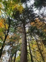 216-2_Easy-Resize.com_.jpg