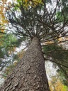 216-3_Easy-Resize.com_.jpg