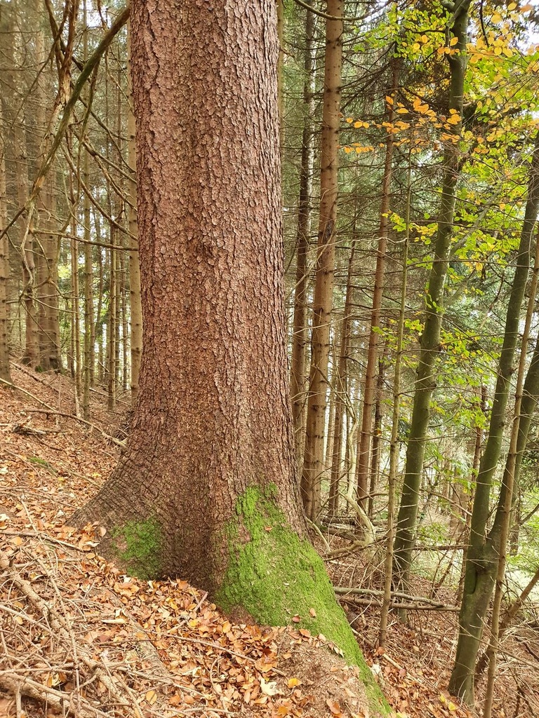 216-5_Easy-Resize.com_.jpg