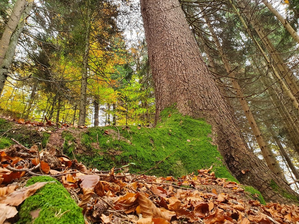 216-6_Easy-Resize.com_.jpg