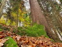 216-6_Easy-Resize.com_.jpg