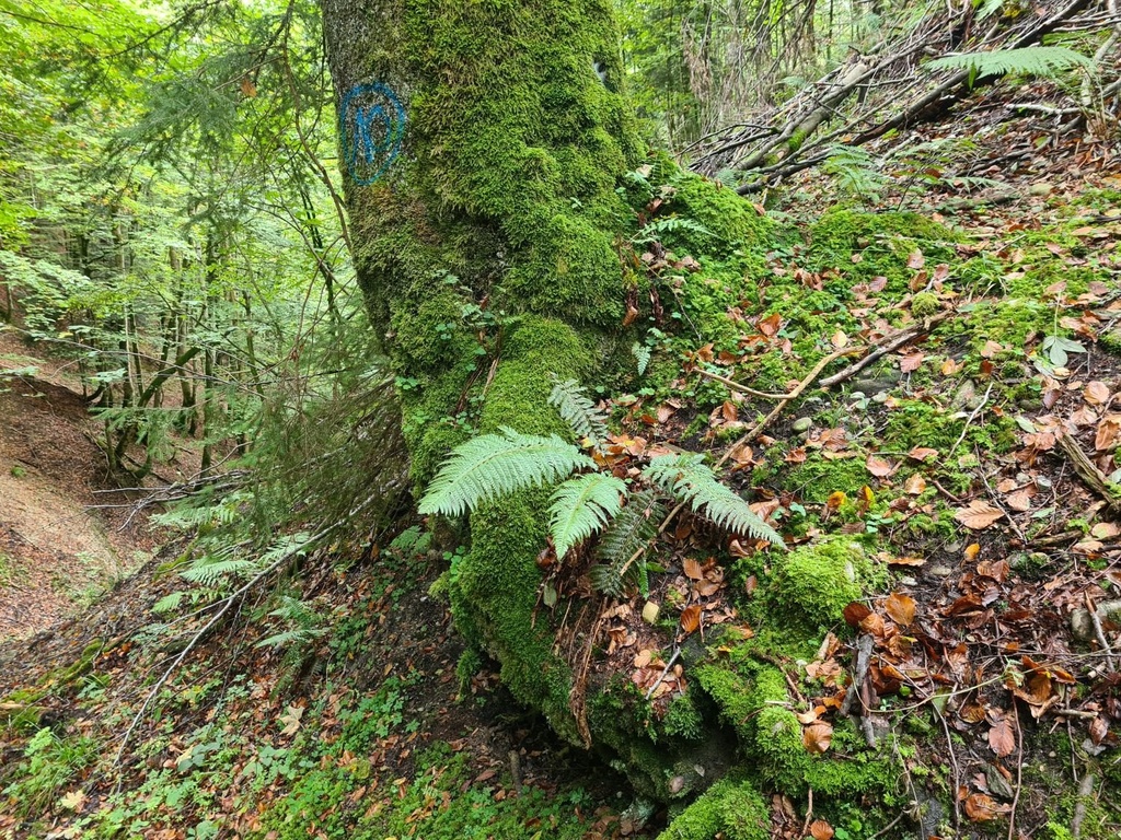 Zwergenhoehle_4_1500px.jpg