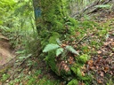 Zwergenhoehle_4_1500px.jpg