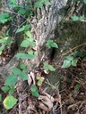 1664008107162_Easy-Resize.com_.jpg