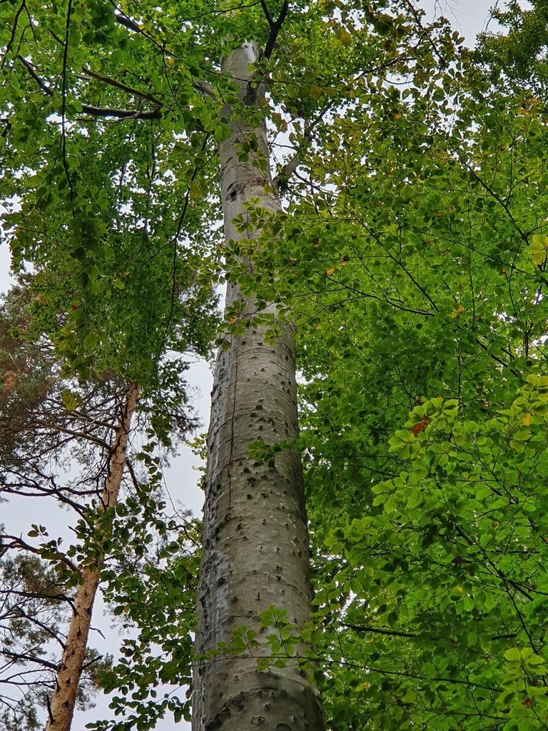 861021-039-2_Easy-Resize.com_.jpg