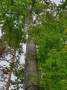 861021-039-2_Easy-Resize.com_.jpg