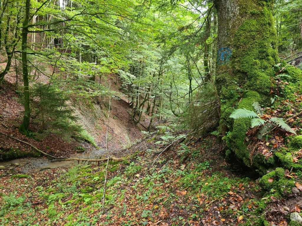 Zwergenhoehle_6_1500px.jpg