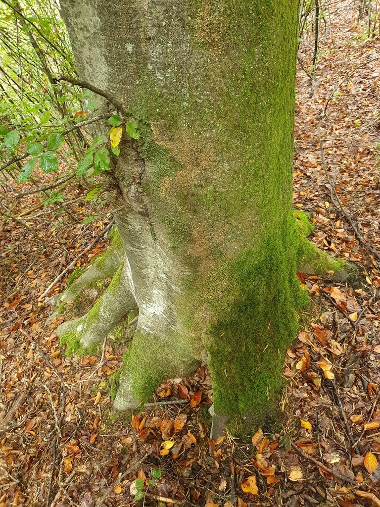861021-040-8_Easy-Resize.com_.jpg