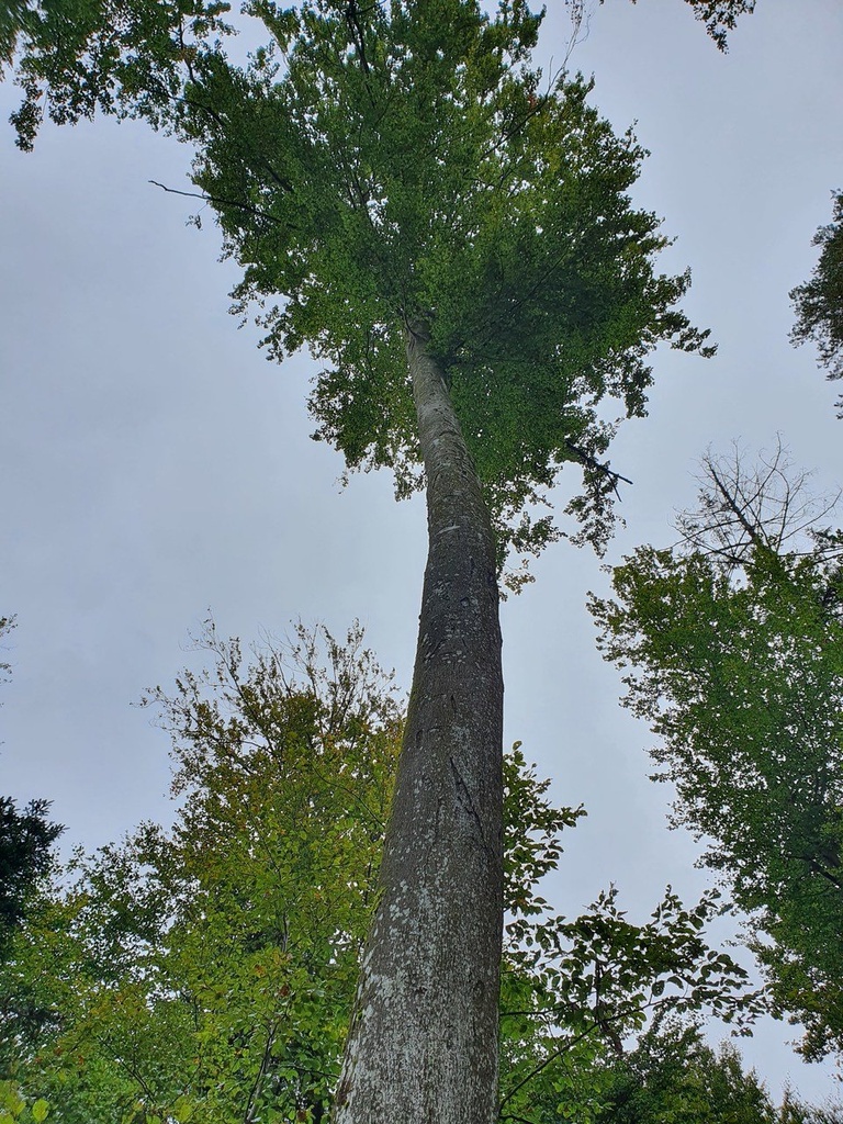 861021-037-9_Easy-Resize.com_.jpg