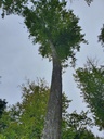 861021-037-9_Easy-Resize.com_.jpg