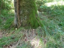 zoepflibuche2_Easy-Resize.com_.jpg