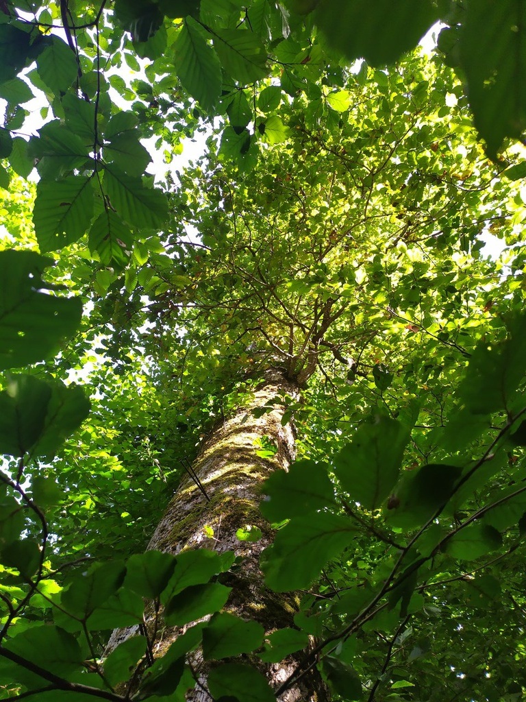 1664003917032_Easy-Resize.com_.jpg