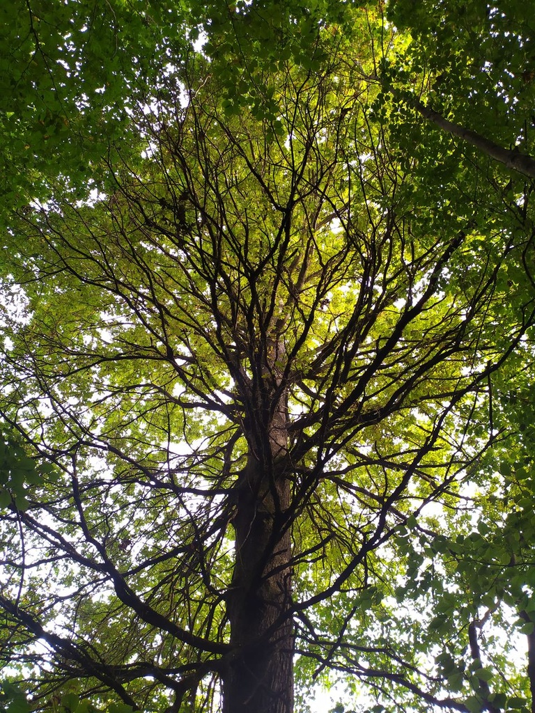 1664025649751_Easy-Resize.com_.jpg