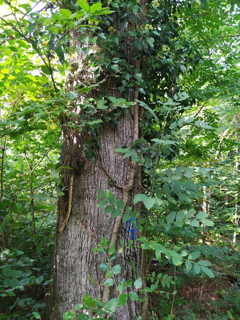 1664008814458_Easy-Resize.com_.jpg