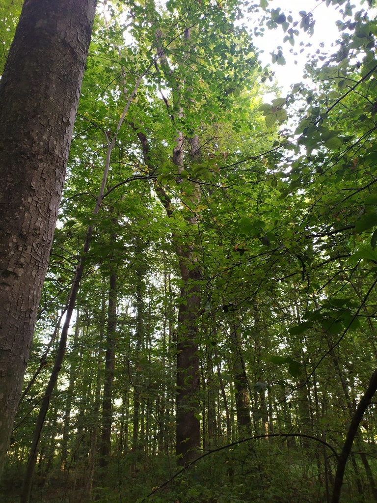 1664026687220_Easy-Resize.com_.jpg