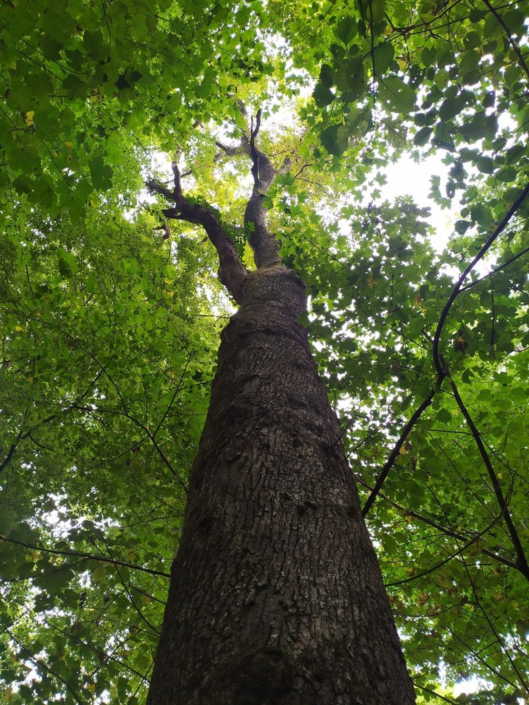 1664026687230_Easy-Resize.com_.jpg