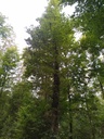1664025992854_Easy-Resize.com_.jpg