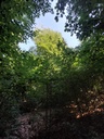 Bananenbuche-4_Easy-Resize.com_.jpg
