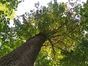 1664009579292_Easy-Resize.com_.jpg