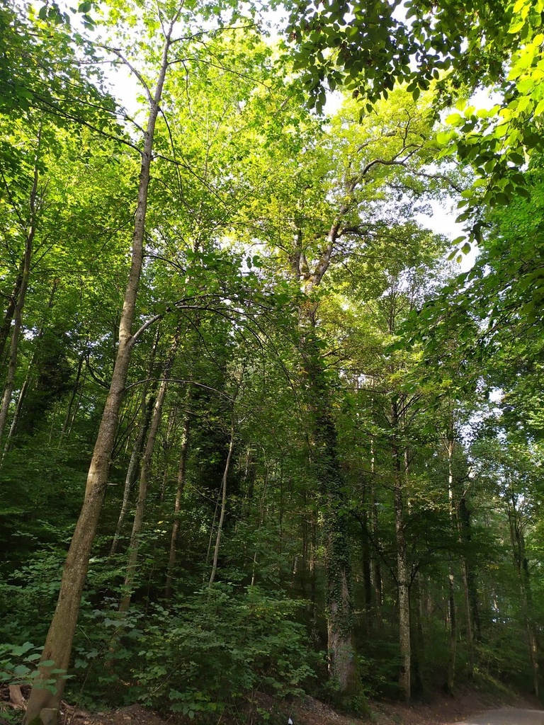 1664024543992_Easy-Resize.com_.jpg