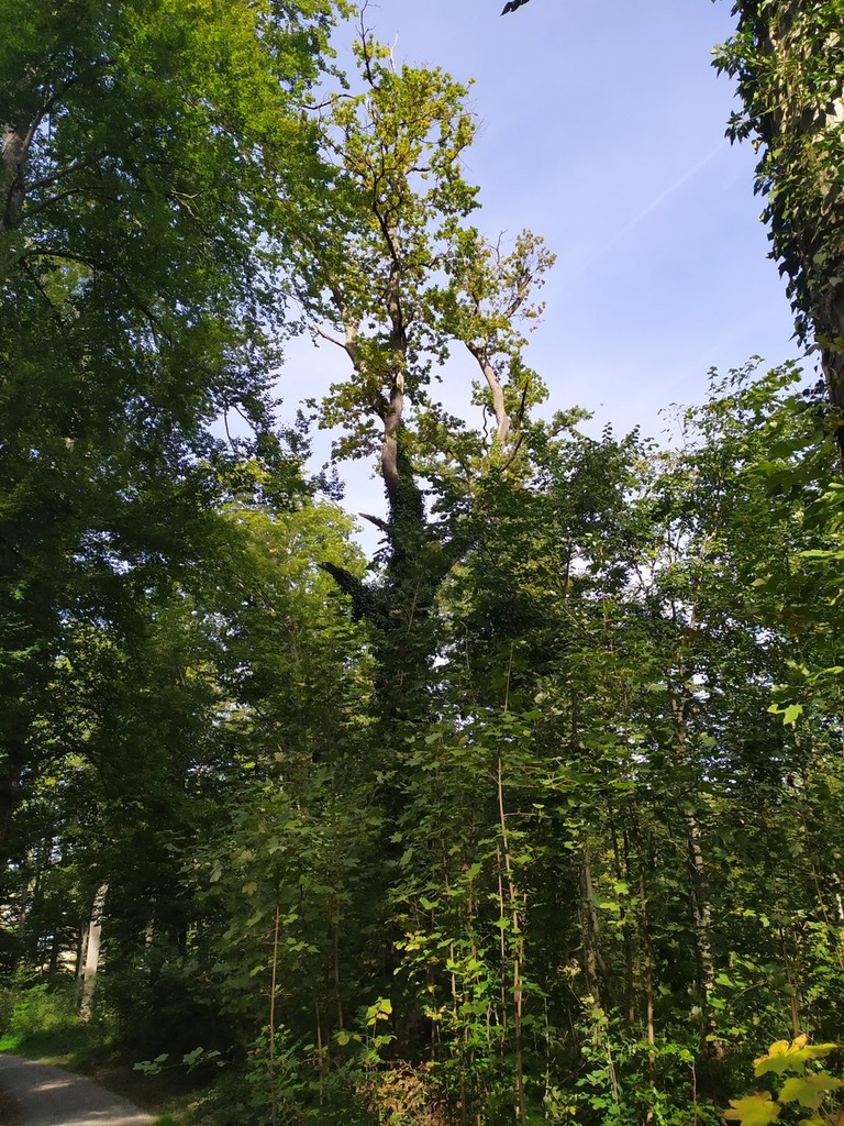 1664010019882_Easy-Resize.com_.jpg