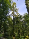 1664010019882_Easy-Resize.com_.jpg