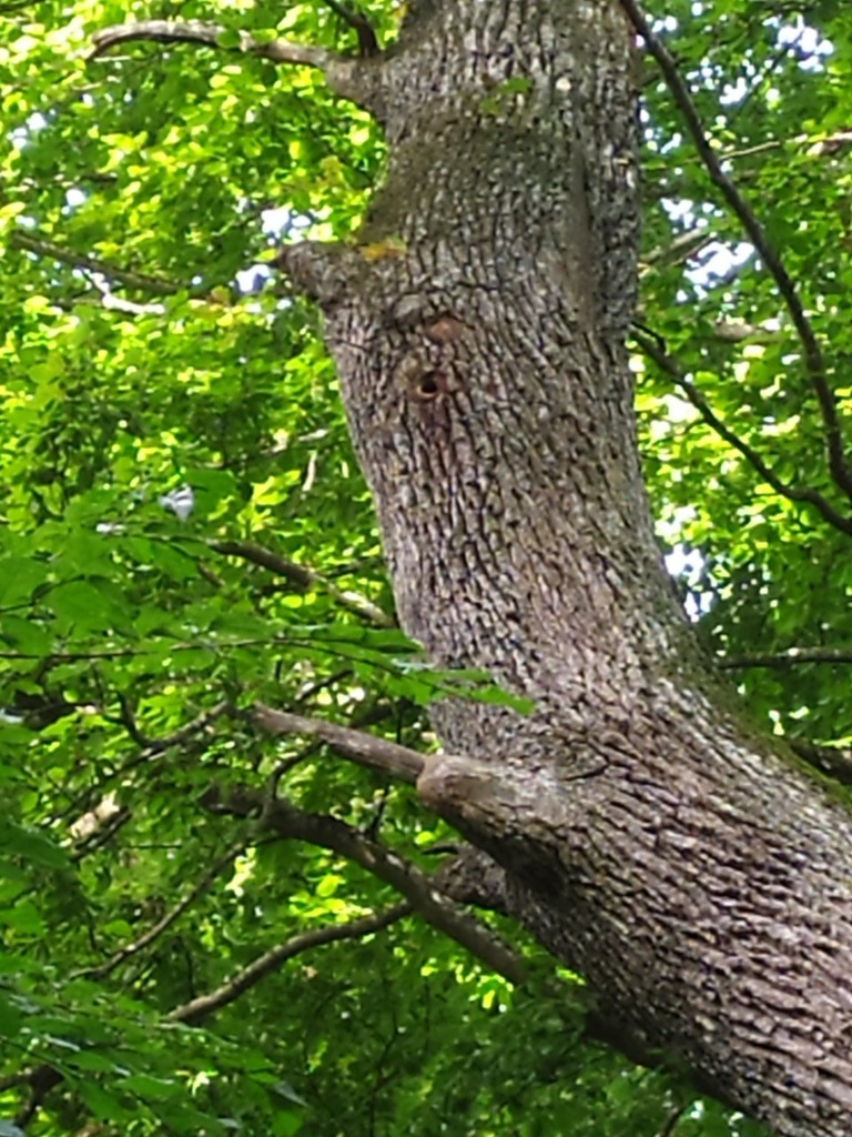 1664024211264_Easy-Resize.com_.jpg