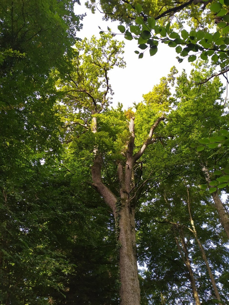 1664024211273_Easy-Resize.com_.jpg