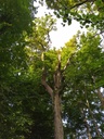 1664024211273_Easy-Resize.com_.jpg