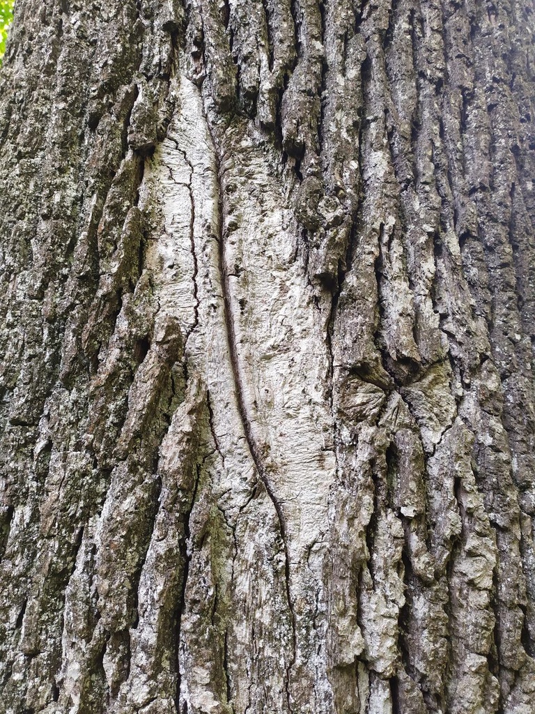 1664022839823_Easy-Resize.com_.jpg