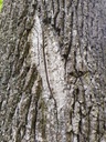 1664022839823_Easy-Resize.com_.jpg