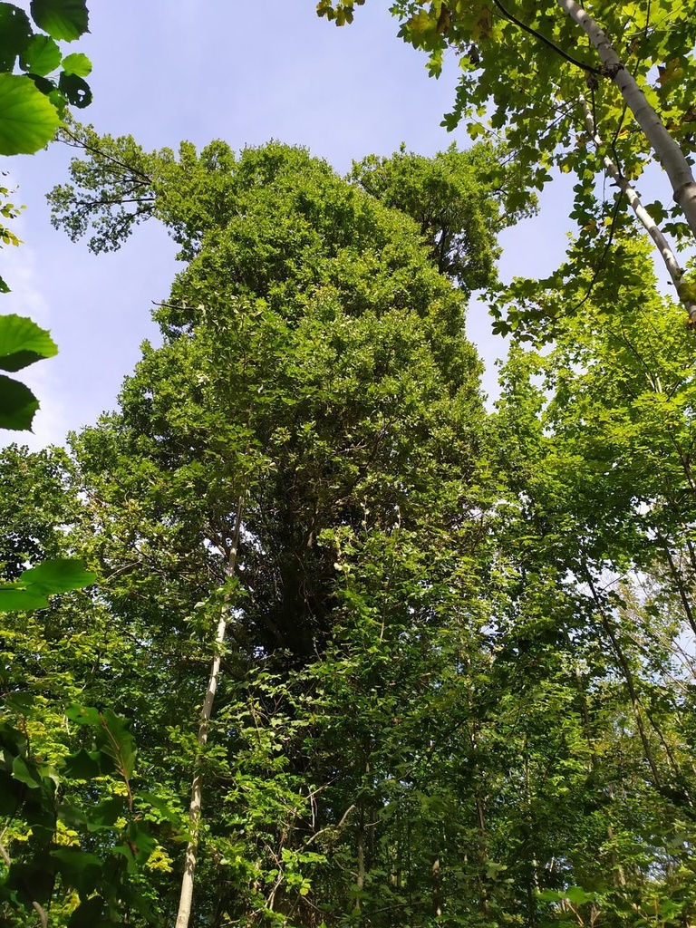 1664007020539_Easy-Resize.com_.jpg