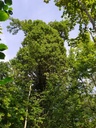 1664007020539_Easy-Resize.com_.jpg