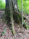 1664007020553_Easy-Resize.com_.jpg