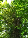 1664007054522_Easy-Resize.com_.jpg