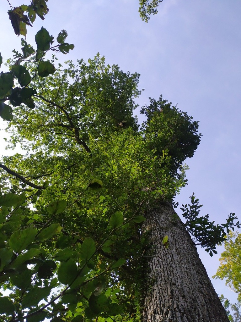 1664023379678_Easy-Resize.com_.jpg