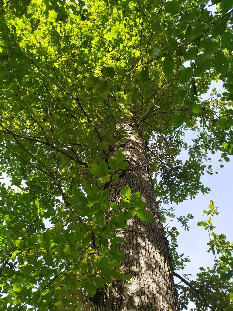 1664007800437_Easy-Resize.com_.jpg