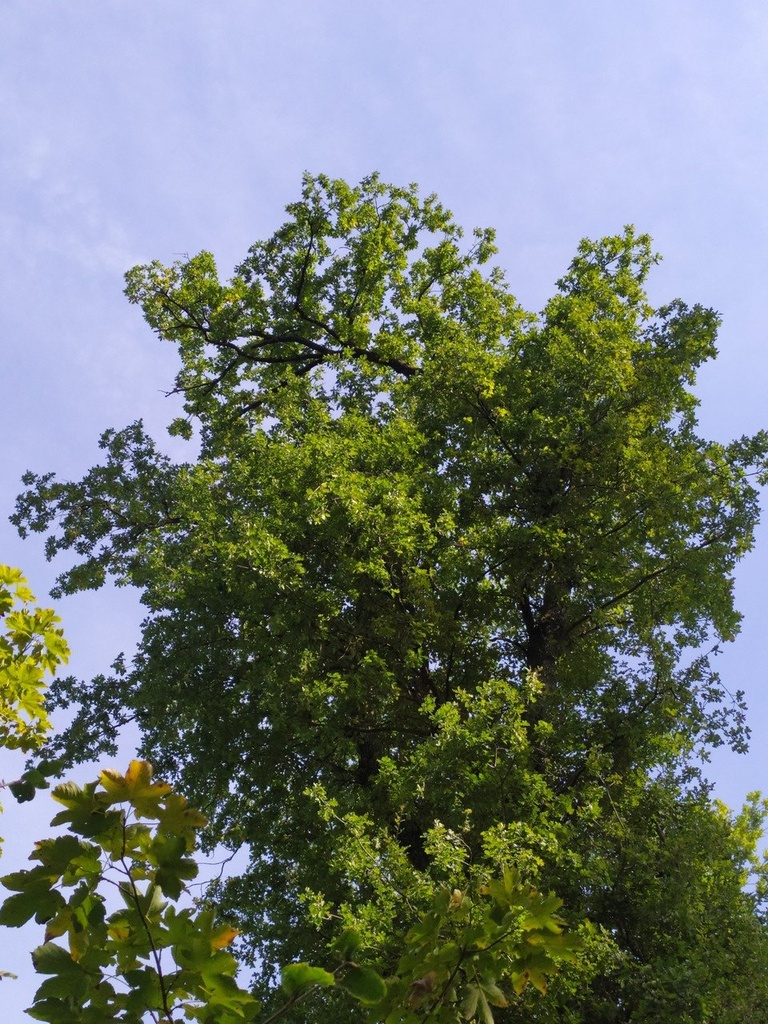 1664008558020_Easy-Resize.com_.jpg