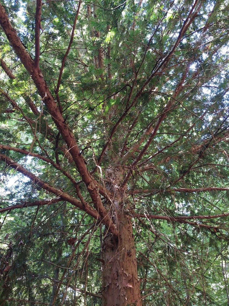 Kaspareibe-7_Easy-Resize.com_.jpg