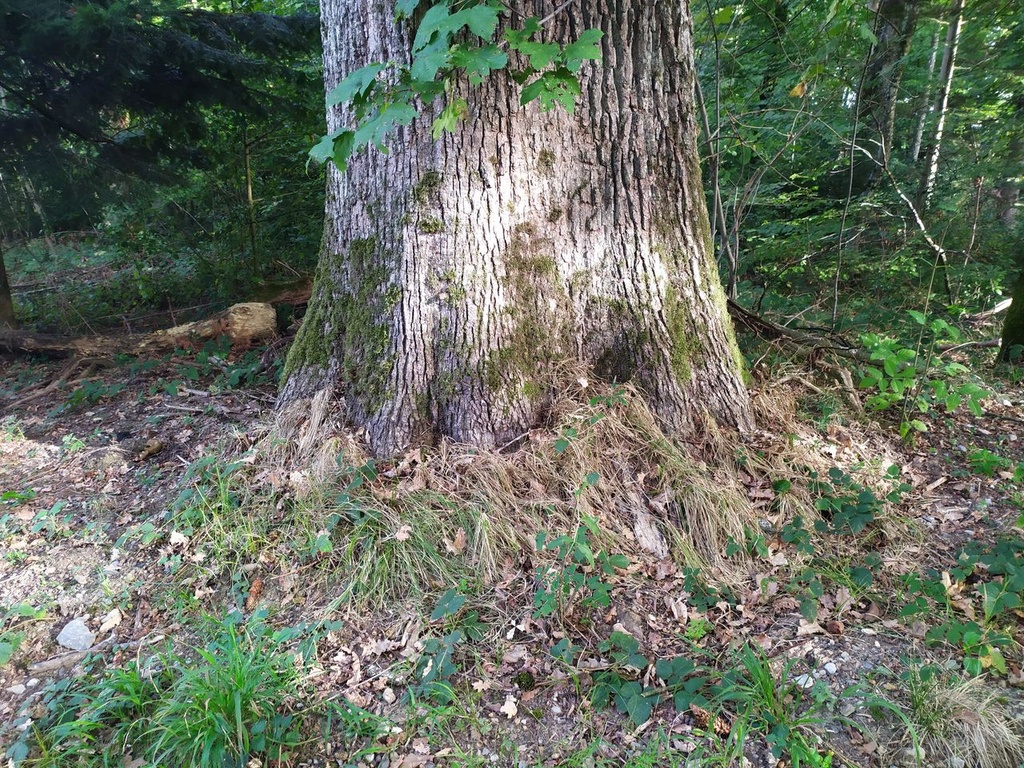 1664025298928_Easy-Resize.com_.jpg