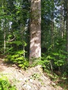 1664024923635_Easy-Resize.com_.jpg