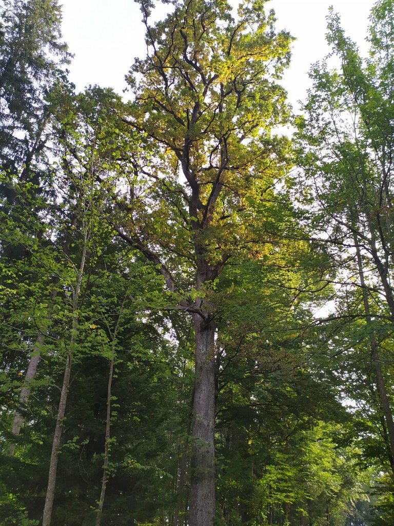 1664025298932_Easy-Resize.com_.jpg