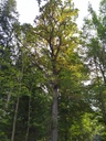 1664025298932_Easy-Resize.com_.jpg