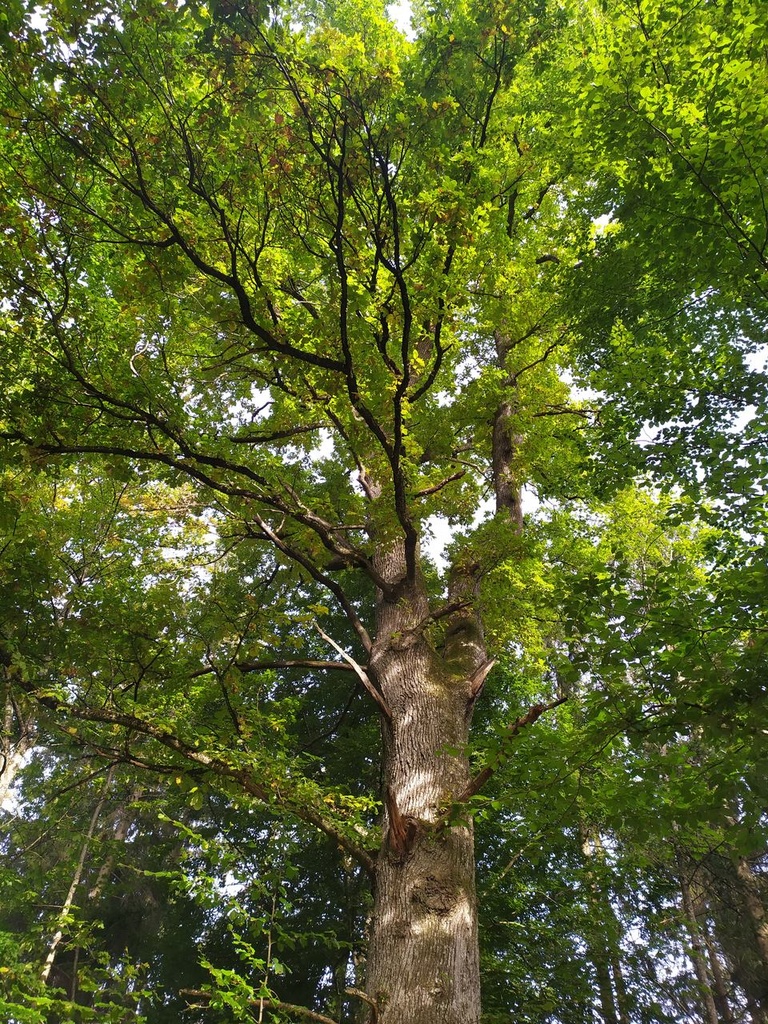 1664024923640_Easy-Resize.com_.jpg