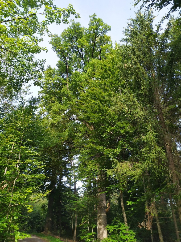Website-ohne-Verkleinerung1664024923658-scaled.jpg