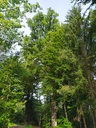 Website-ohne-Verkleinerung1664024923658-scaled.jpg
