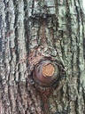 659222005-4_Easy-Resize.com_.jpg