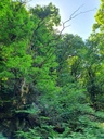 659222002-4_Easy-Resize.com_.jpg