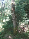 junioreiche2_Easy-Resize.com_.jpg