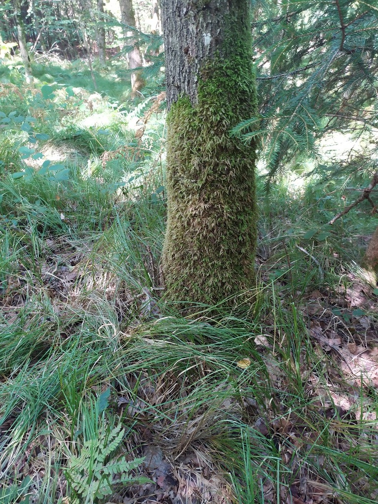 junioreiche3_Easy-Resize.com_.jpg